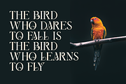 Berang Berang Serif Display Font, a Serif Font by Maryamtype Studio (Thumbnail 5 of 15)