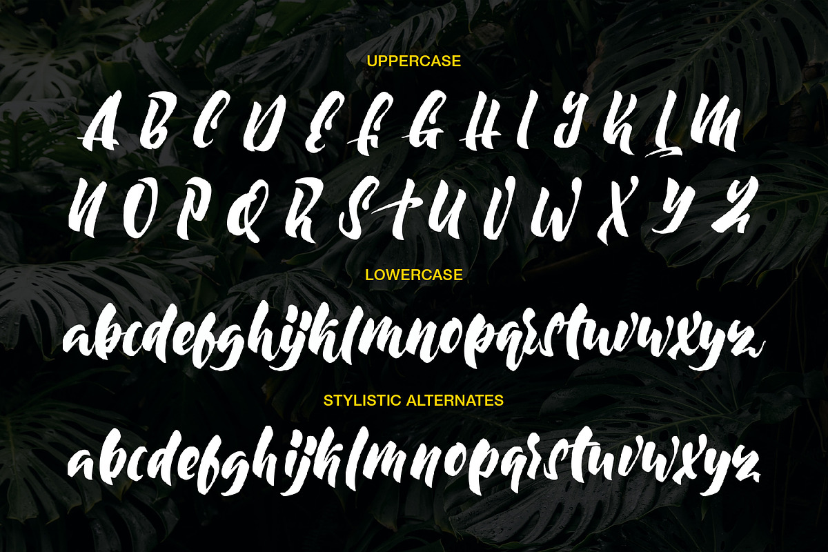 Moonway - A Hand Brush Typeface, a Script Font by SemutHitam Creative (Photo 5 of 10)