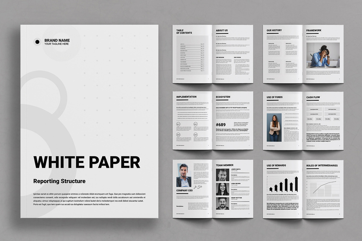 White Paper Template, a Brochure Template by ContestDesign (Photo 1 of 3)