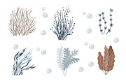 Mermaids and under the Sea clipart, an Object Graphic by KupalinaArt (Thumbnail 4 of 10)