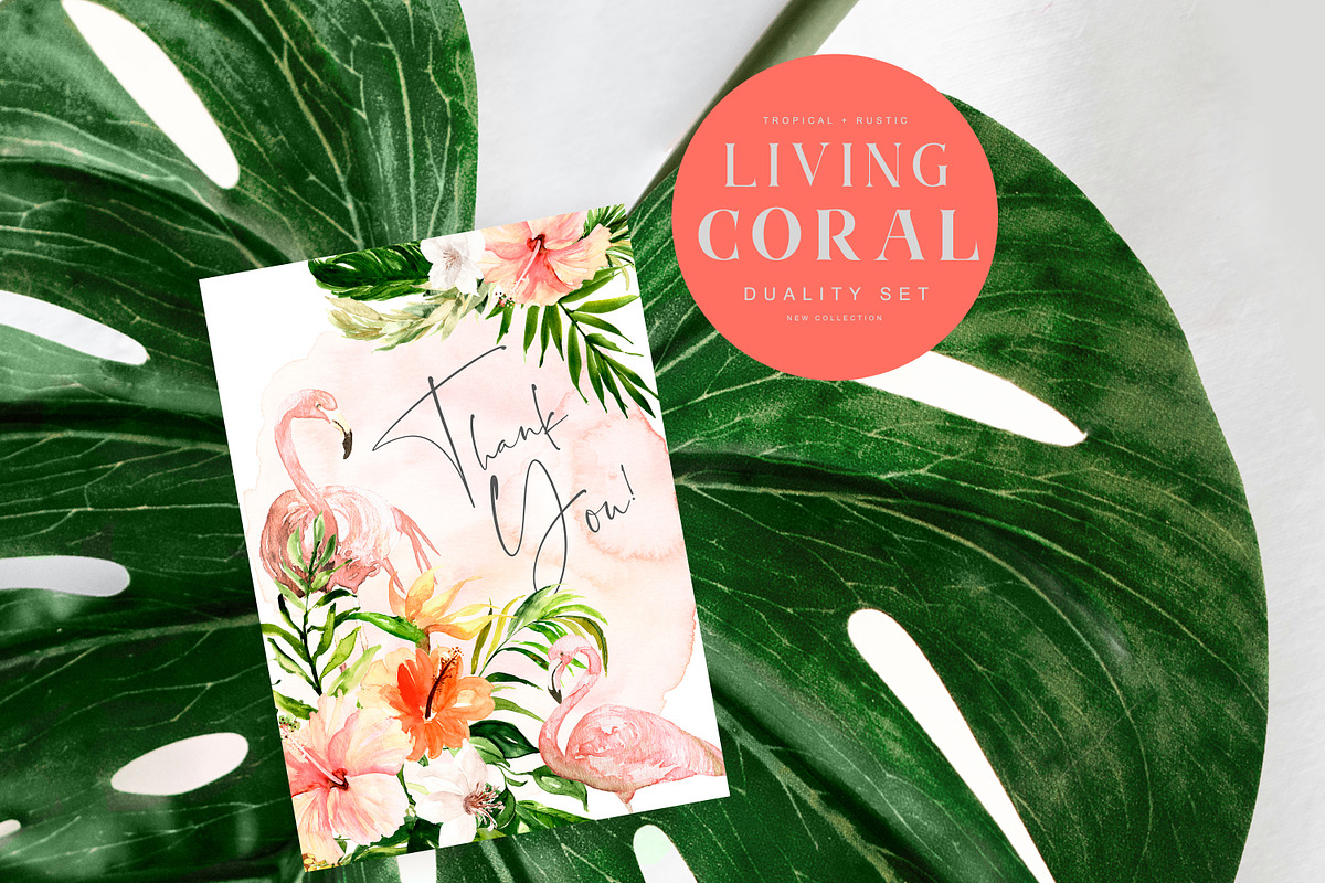 Living Coral - Duality Set, an Illustration by studioequinox (Photo 8 of 16)