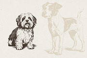 215 Dog Illustrations, an Animal Illustration by Nocturnal Wolf (Thumbnail 6 of 14)