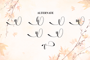 Autumn | Script Font, a Handwritten Font by Scratchones (Thumbnail 8 of 9)