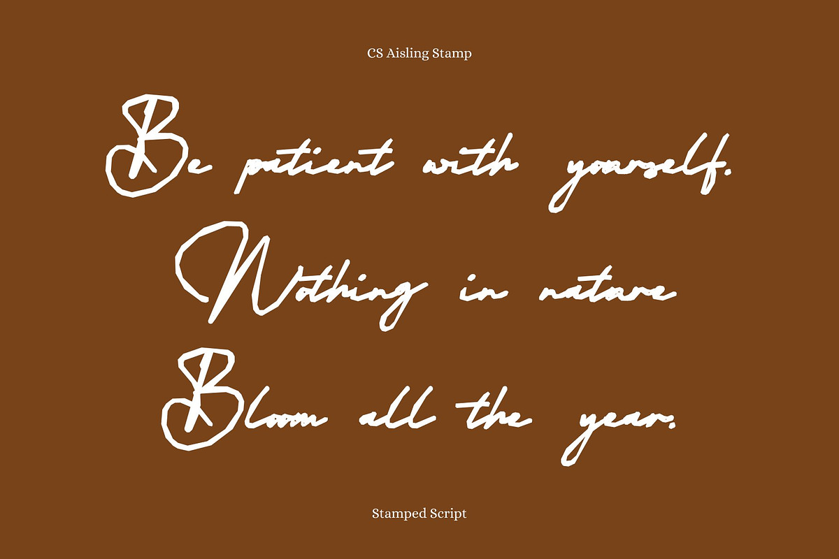 CS Aisling Stamp, a Script Font by Craft Supply Co. (Photo 3 of 7)