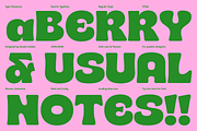 SG Bascho Bold, a Sans Serif Font by Studio Gulden (Thumbnail 11 of 16)