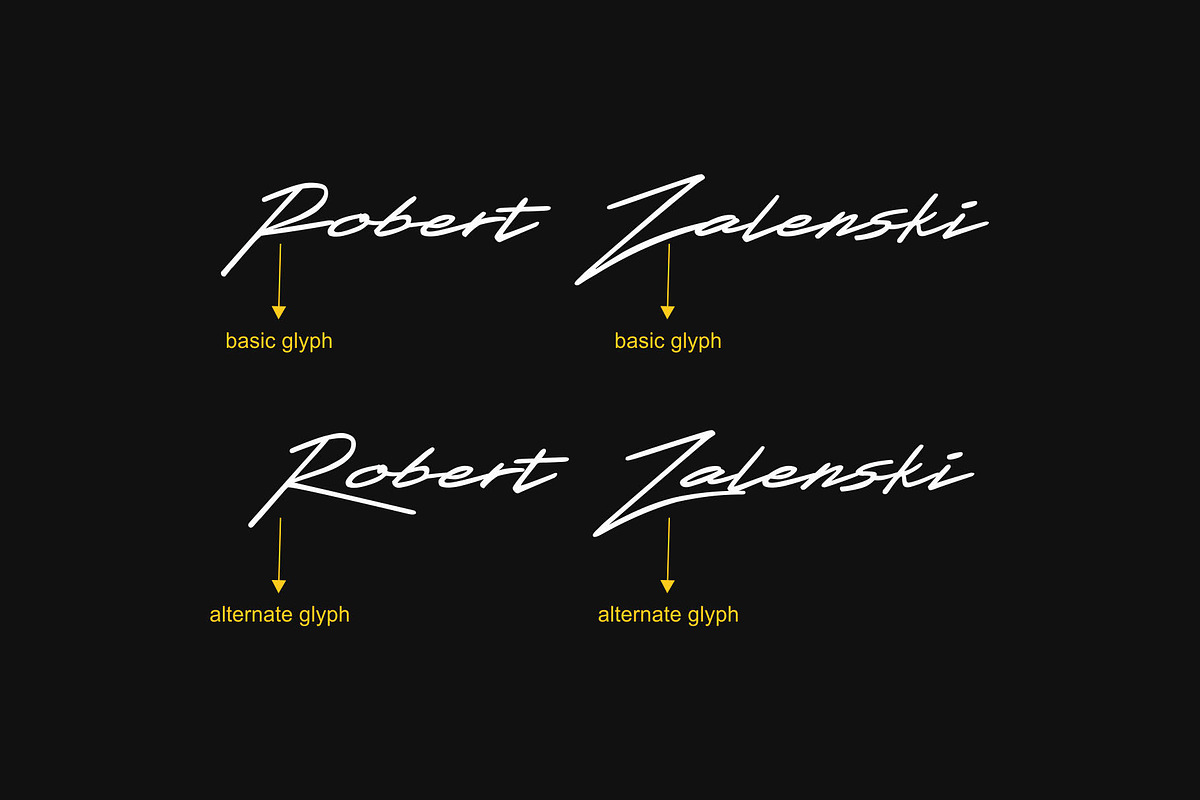 Xenasign Font, a Script Font by nIznaztype (Photo 3 of 6)