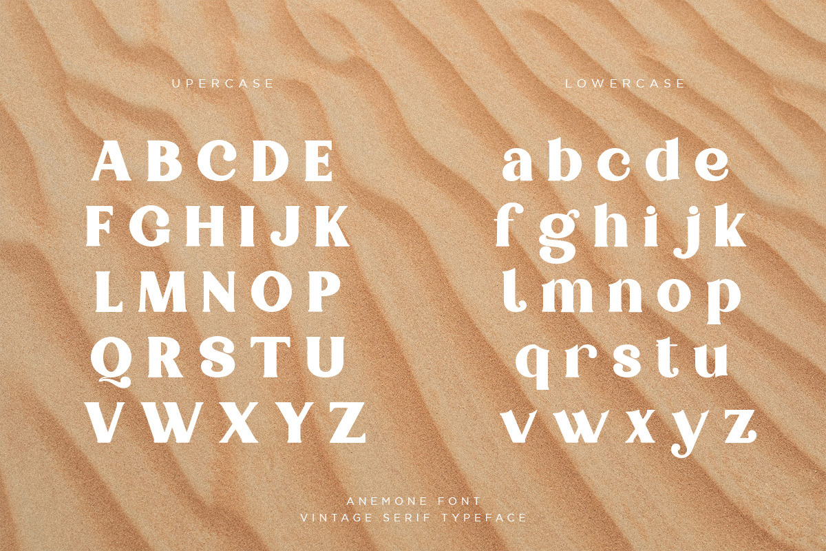 Anemone | Vintage Serif, a Serif Font by Pentagonistudio (Photo 9 of 11)