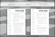Professional Resume Template, a Resume Template by introDuice - CV / Resumes (Thumbnail 2 of 6)