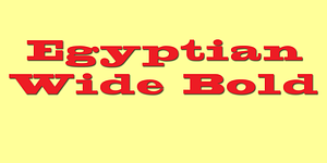 Egyptian Wide, a Slab Serif Font by Wooden Type Fonts