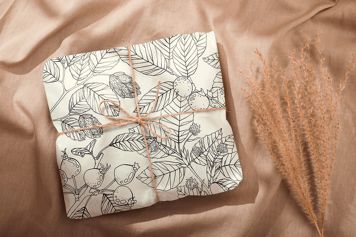 Branches, Leaves and Berries Vol. 2, a Seasonal Illustration by GVGraphics (Photo 5 of 12)