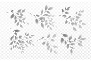 Set of Realistic transparent shadow