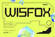 Wisfox, a Symbol Font by Ditatype (Thumbnail 1 of 16)