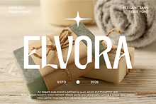 Elvora Modern Elegant Sans Font