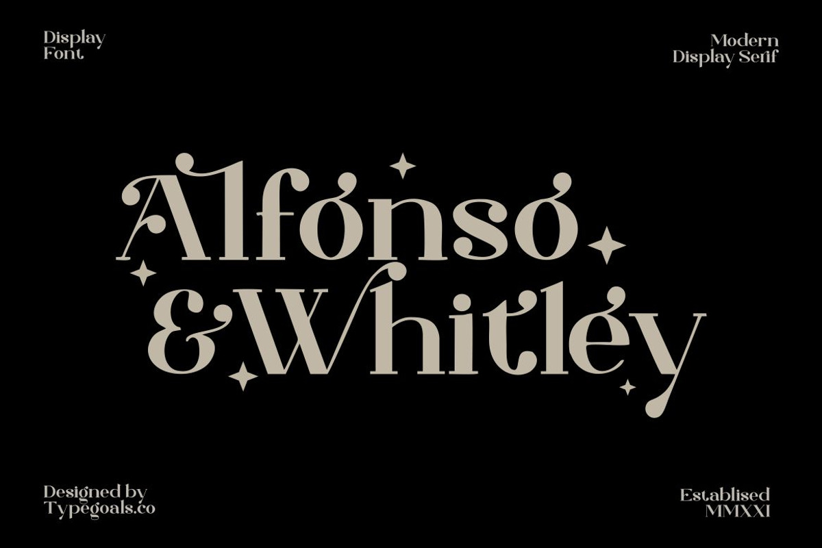 Mugiwara Swashy Serif, a Serif Font by Typegoals Studio (Photo 2 of 9)