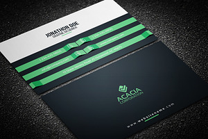 Elegant Business Card V-02