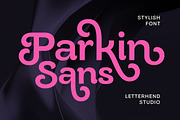 Parkin Sans With 9 Weight, a Sans Serif Font by Letterhend Studio (Thumbnail 1 of 10)