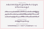 Swirl Sensations, a Script Font by RedyStudio (Thumbnail 10 of 10)