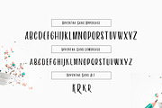 Vayentha Script & Sans (+Webfont), a Script Font by Ryan Prasetya (Thumbnail 8 of 8)