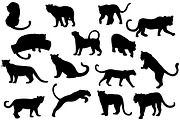 Leopards 3, an Animal Illustration by Ecaterina Sciuchina (Thumbnail 3 of 6)