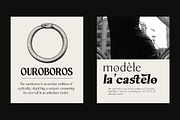 Sonne | 12 Fonts, a Serif Font by Skinny Type (Thumbnail 4 of 11)