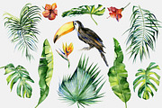 Tropic art, a Pattern Graphic by Anna Myslivets Art (Thumbnail 5 of 5)
