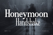 Minims - Serif Retro Family Series, a Serif Font by Flawless And Co (Thumbnail 3 of 11)
