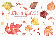 Watercolor Clip Art - Fall Leaves, a Seasonal Illustration by Maria B. Paints (Thumbnail 1 of 2)