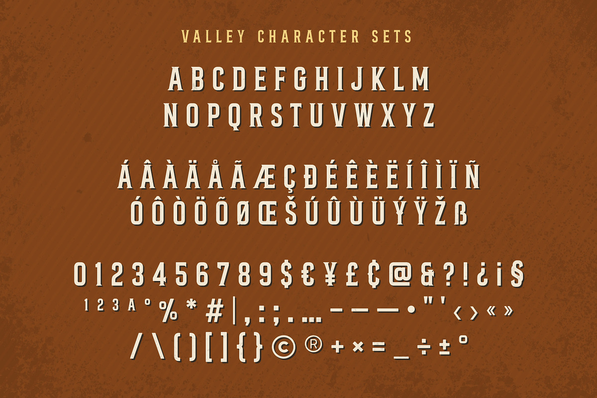 Bronco Valley - Vintage Serif, a Serif Font by Variatype (Photo 8 of 8)