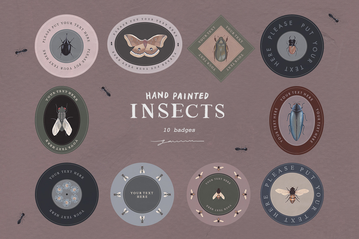 Hand Painted Insects Clipart, an Illustration by gamm (Photo 5 of 9)