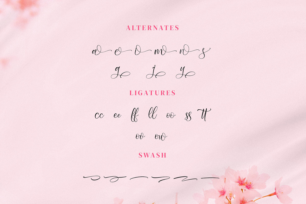 Shaquitta, a Script Font by Integritype Studio (Photo 11 of 15)