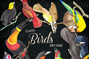 Exotic Birds Set 1, a Graphic by Digital Vintage (Thumbnail 2 of 2)