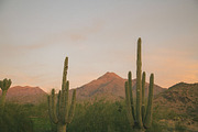 60 Classic Film Lightroom Presets, a Plug-in Add-On by PRESETS and CHILL (Thumbnail 5 of 14)