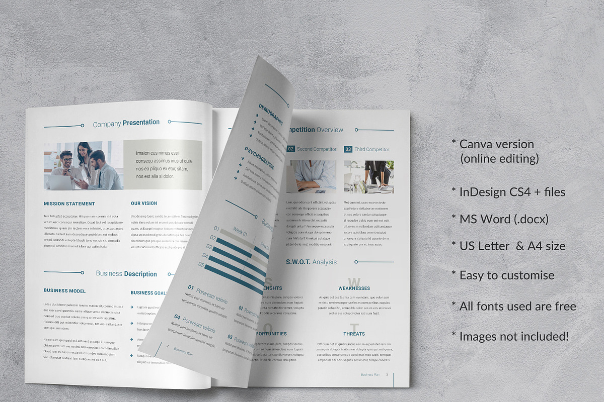 Business Plan Brochure, a Brochure Template by Sabin (Photo 2 of 6)