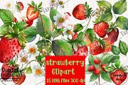 Watercolor Strawberry Clipart Berry, a Food Illustration by TanuschArts (Thumbnail 4 of 4)