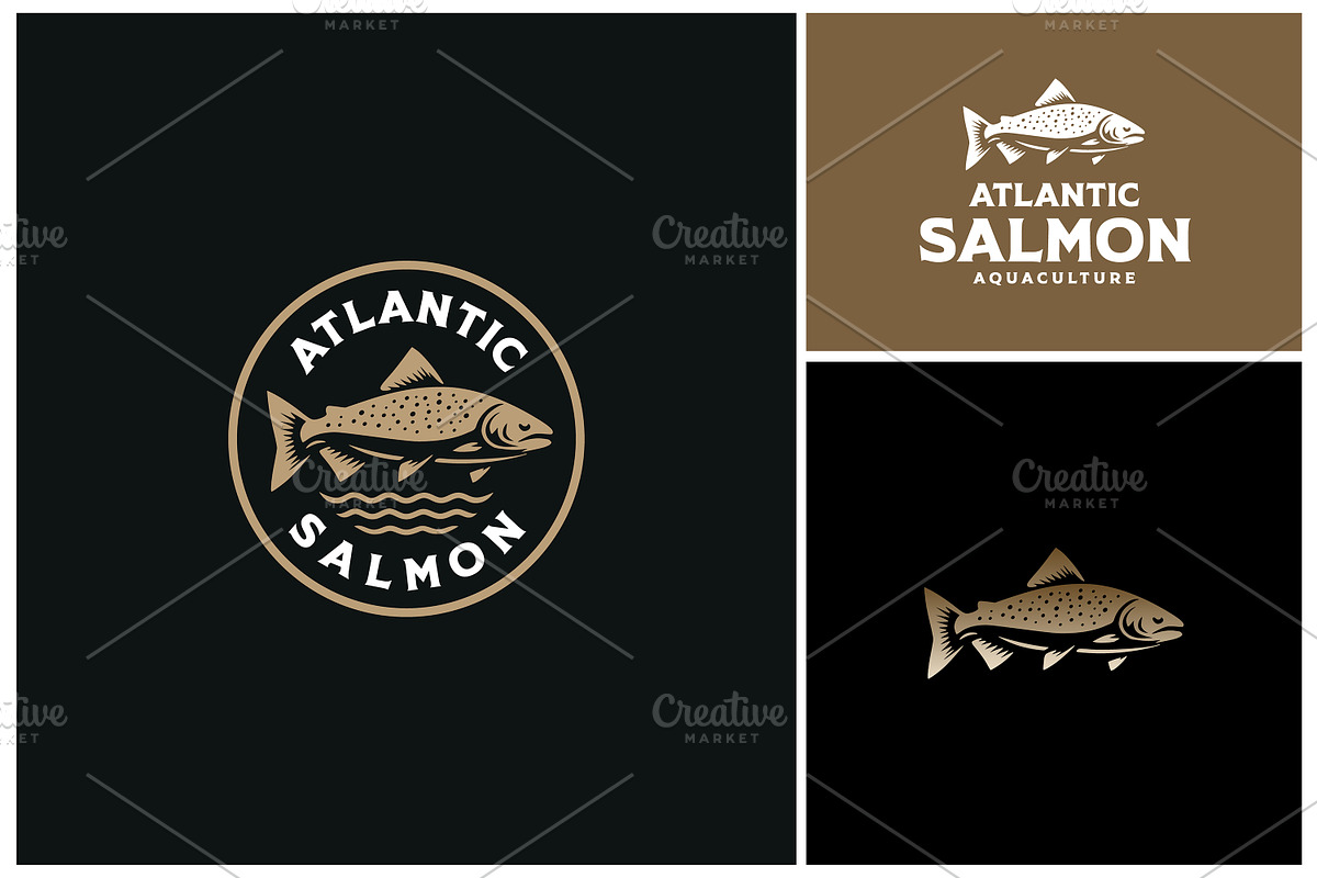 Atlantic Salmon Fish Water Wave logo, a Branding & Logo Template by Enola99d