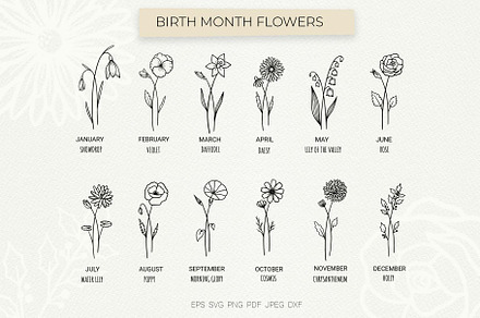 Birth Month Flowers – Floral Zodiac, an Object Graphic by Irina Ostapenko