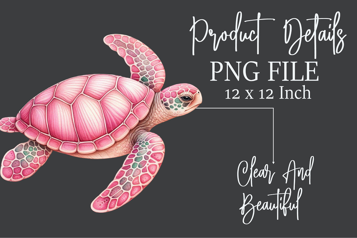 Watercolor Pink Sea Turtle Clipart, an Illustration by Rose Art (Photo 6 of 7)