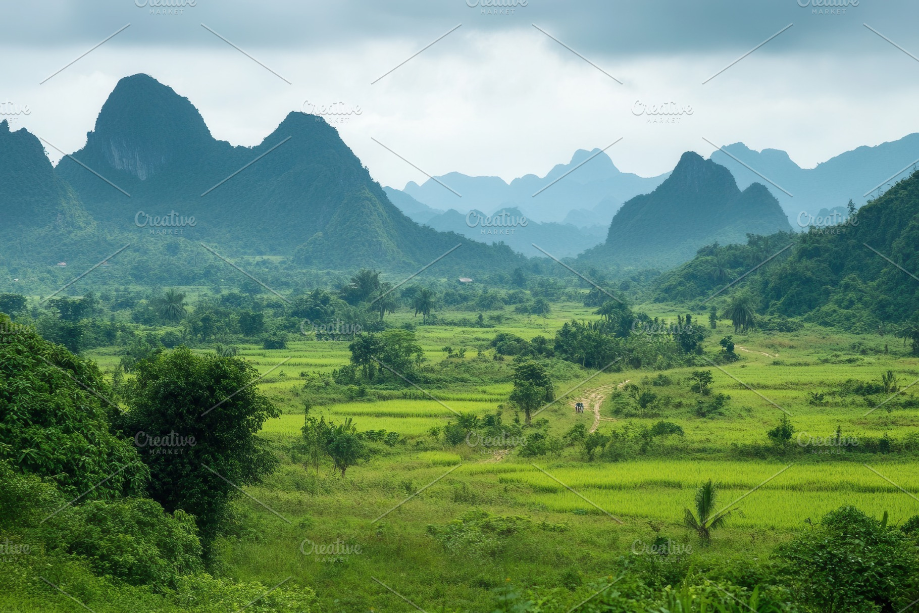 Ta Nang route winds beautifully, a Photo by Pavel_design