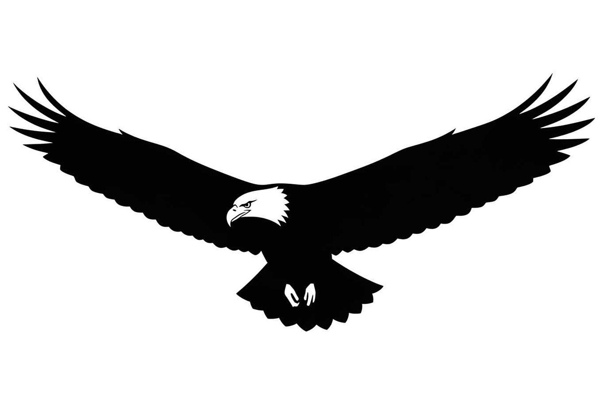 50 Flying Eagle Silhouette Vector Bu, an Illustration by Designs_River (Photo 41 of 51)