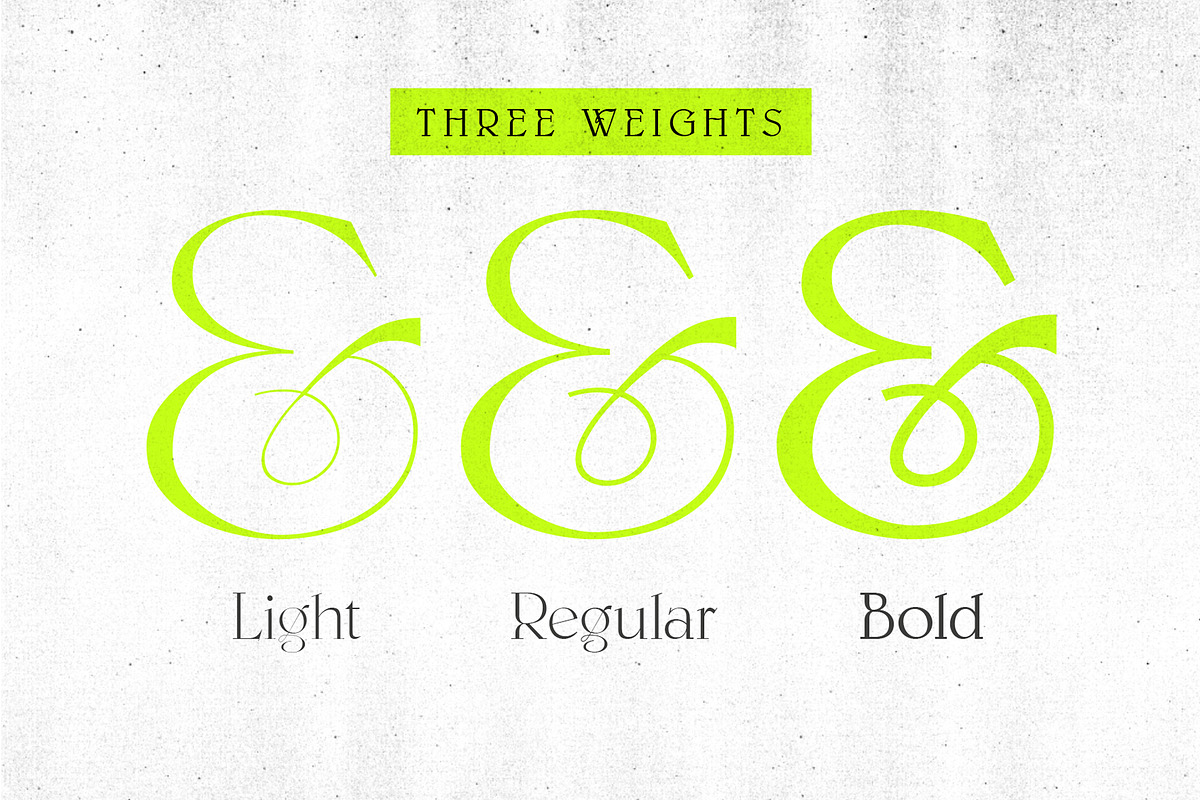 Paxxx | Lux serif, a Serif Font by Drawwwn (Photo 11 of 12)
