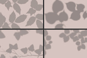 50 plants shadows, a Mockup by AnastasiyaOleynik (Thumbnail 5 of 14)