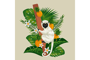 Lemur In The Branch With Pineapples