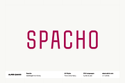 Spacho Font Family (44 Fonts), a Font by alpercakici (Thumbnail 1 of 18)
