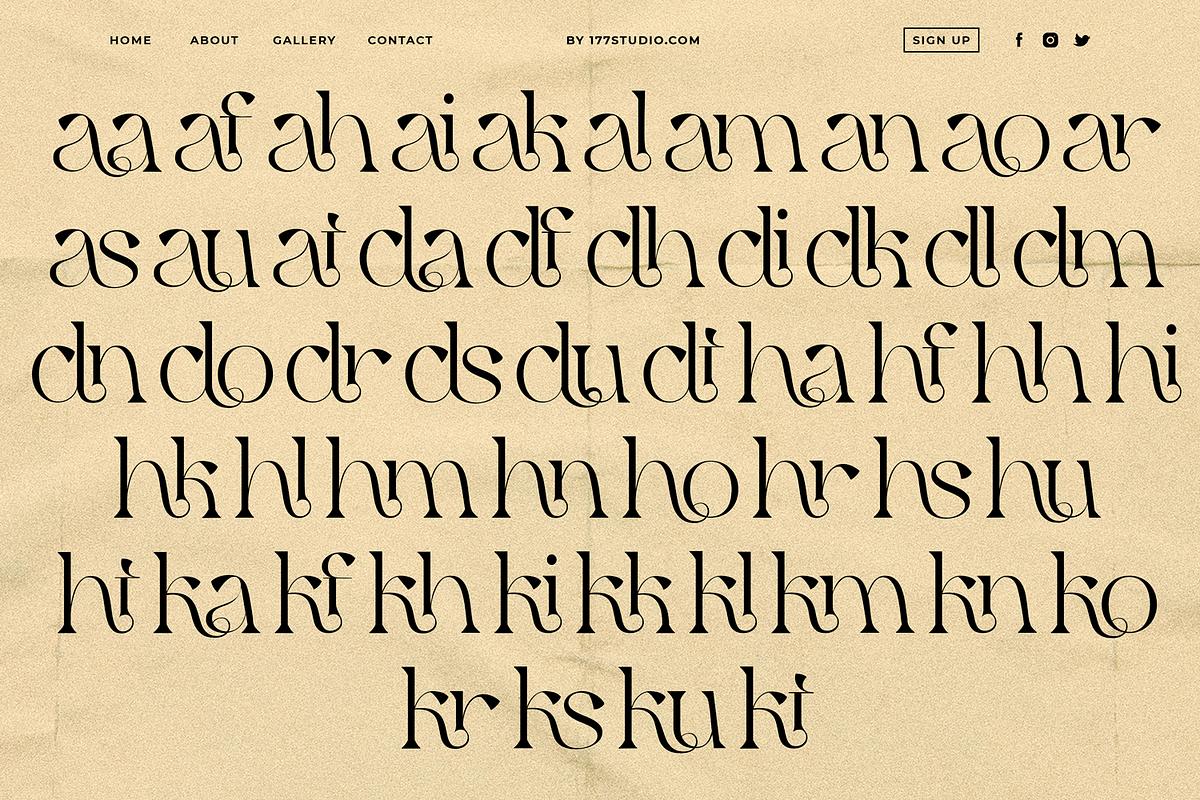 Qaitan – Modern Serif Font, a Serif Font by 177Studio (Photo 7 of 9)