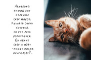 Lazycat Kids font, a Script Font by JuliyArt (Thumbnail 7 of 9)