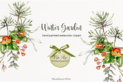 Winter Garden Watercolor Collection, a Seasonal Illustration by MariaScaroniAtelier (Thumbnail 2 of 6)
