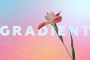 30 gradient backgrounds, 27 blurs, a Texture Graphic by Olesia_ig (Thumbnail 3 of 20)