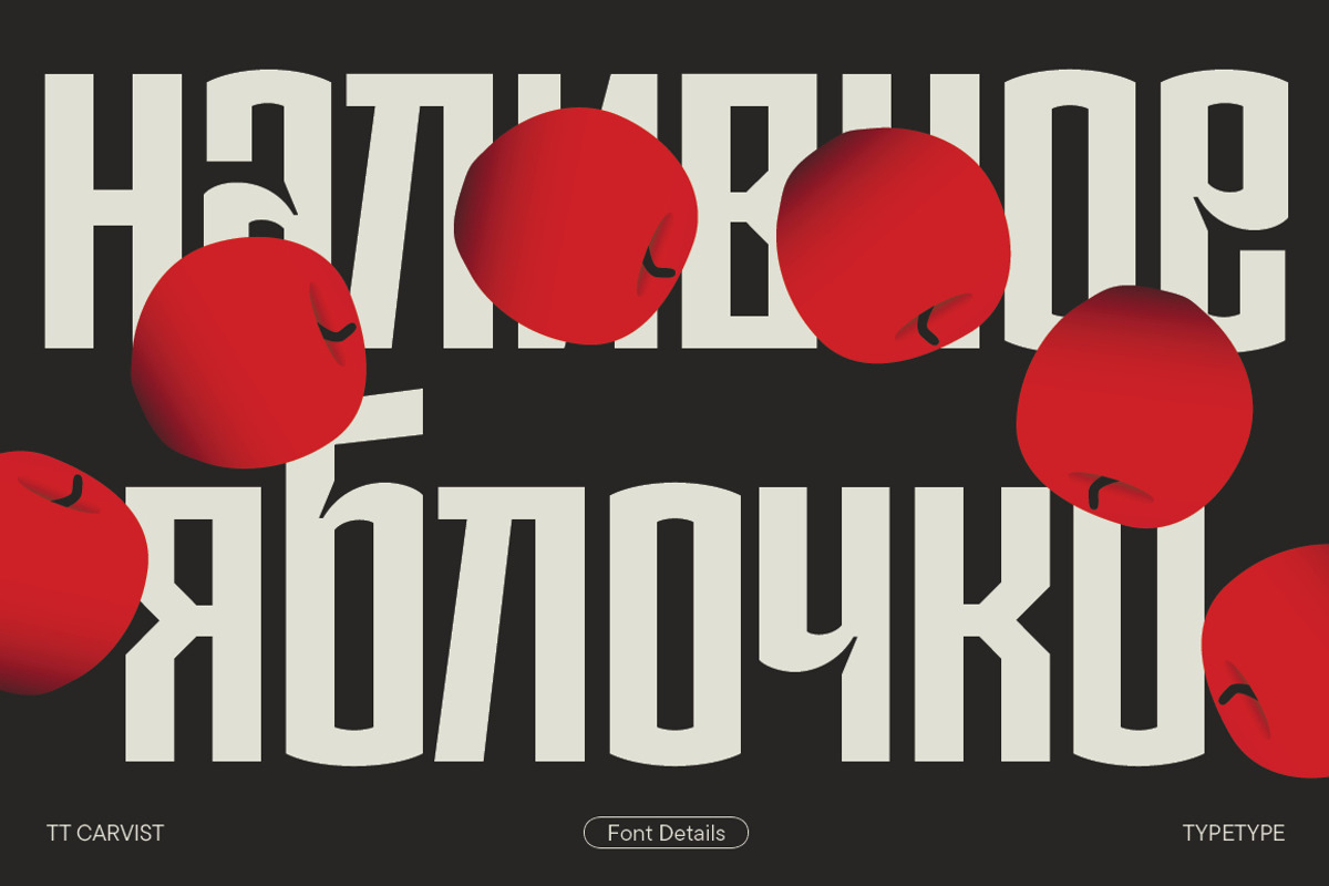 TT Carvist, a Sans Serif Font by TypeType (Photo 10 of 15)