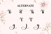 Calya | Script Font, a Handwritten Font by Scratchones (Thumbnail 8 of 9)