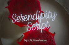 Serendipity Script Calligraphy Font